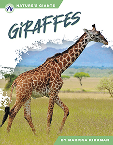 Cover Art for Giraffes