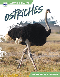 Cover Art for Ostriches
