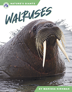 Cover Art for Walruses