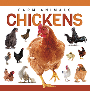 Cover Art for Chickens
