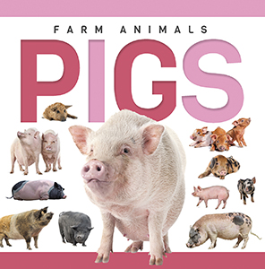 Cover Art for Pigs