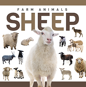 Cover Art for Sheep