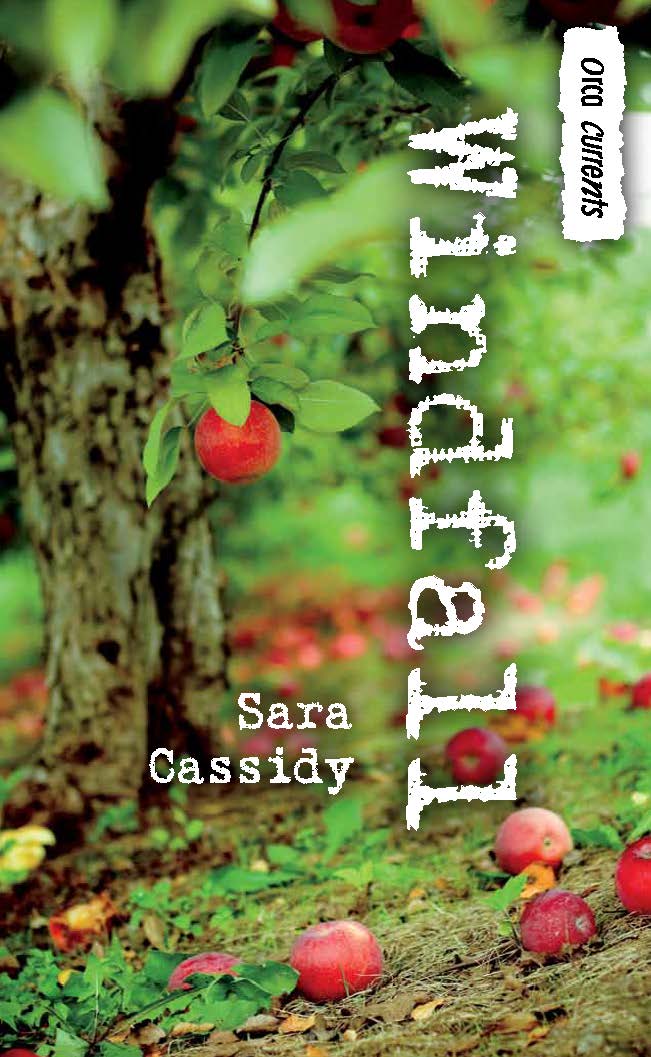 Cover Art for Windfall