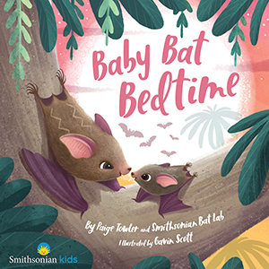 Cover Art for Baby Bat Bedtime