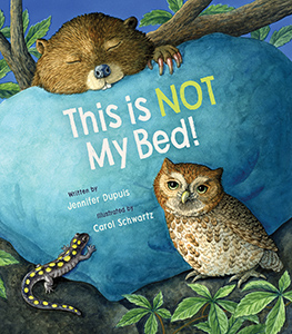 Cover Art for This Is Not My Bed!