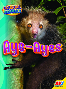 Cover Art for Aye-Ayes