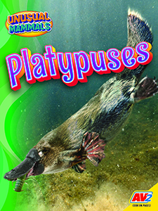 Cover Art for Platypuses 