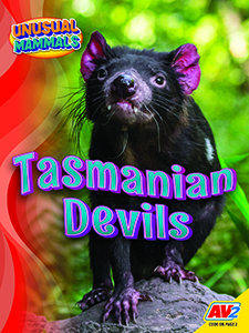 Cover Art for Tasmanian Devils