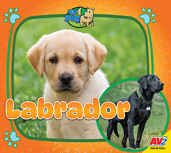 Cover Art for Labrador