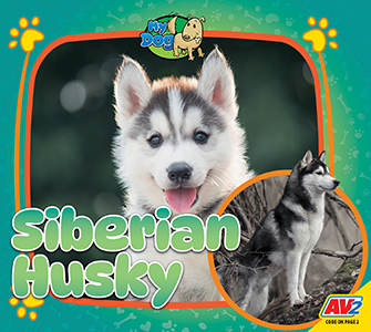 Cover Art for Siberian Husky