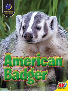 Cover Art for American Badger