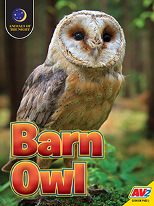 Cover Art for Barn Owl