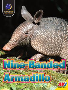 Cover Art for Nine-Banded Armadillo
