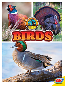 Cover Art for Birds