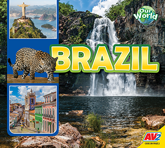 Cover Art for Brazil