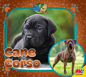 Cover Art for Cane Corso