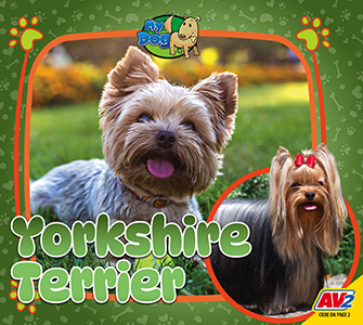 Cover Art for Yorkshire Terrier