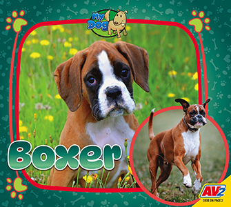 Cover Art for Boxer